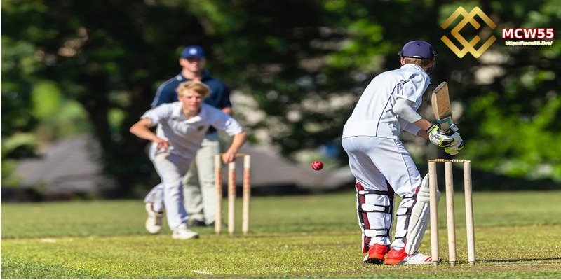 Top Run Scorer