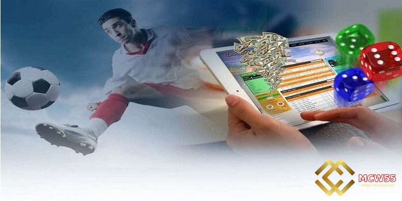 Wide Range of Products, Unlimited Entertainment